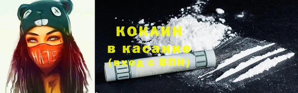 прущий лед Арсеньев