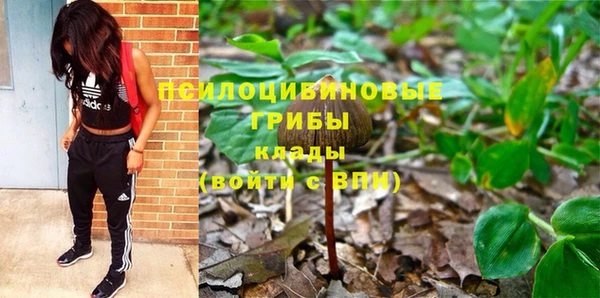 дурь Армянск