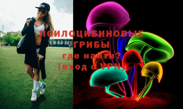 прущий лед Арсеньев