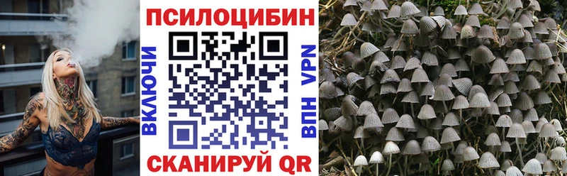купить сайты Лесосибирск Псилоцибиновые грибы Cubensis
